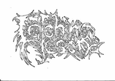 logo Felching Lescha